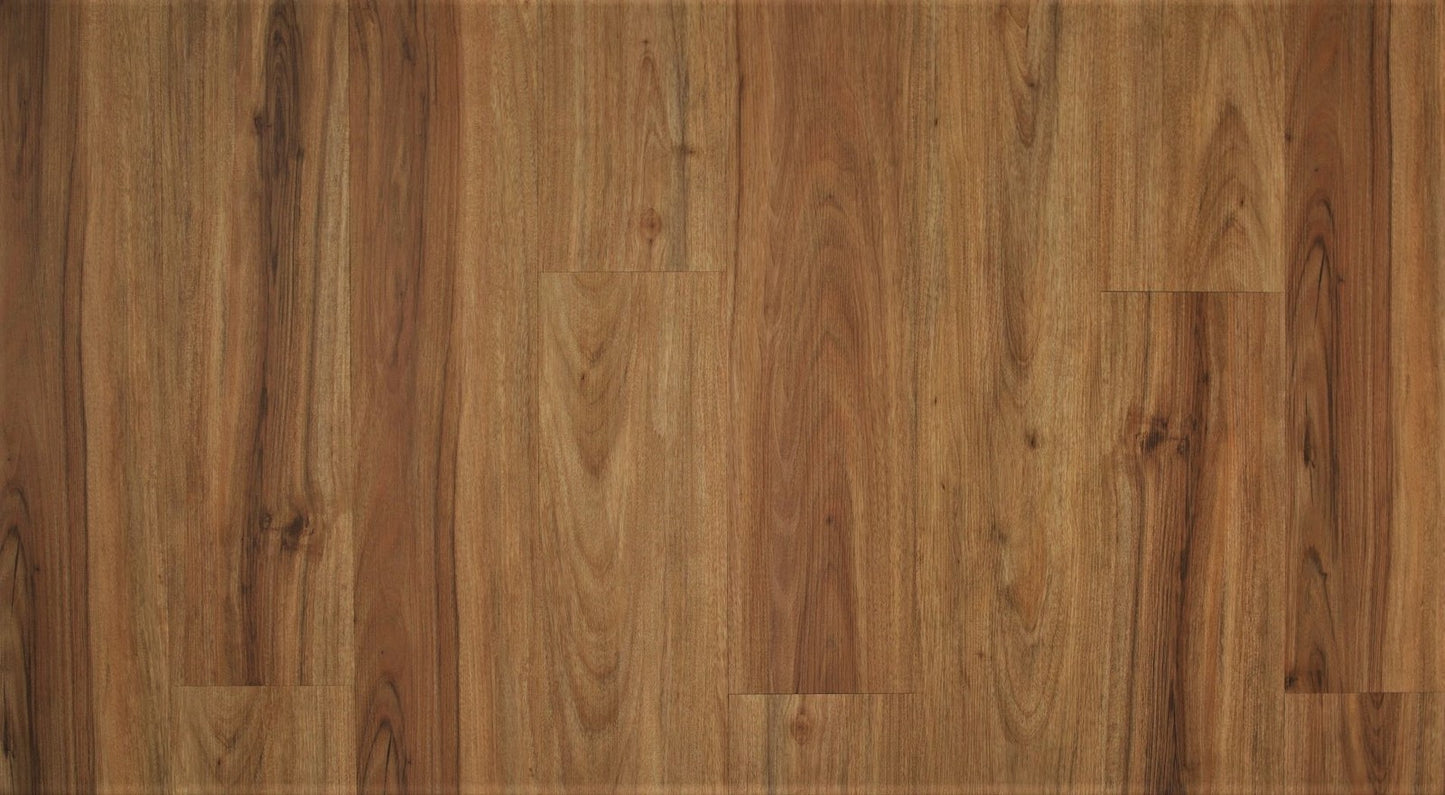 Loose Lay Shortboard
